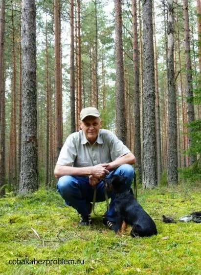 В яку пору року краще купувати собаку собака без проблем (року) В яку пору року краще купувати собаку собака без проблем