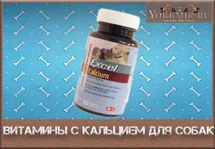 Вітаміни з кальцієм для собак, список кращих вітамінів (вітамінів) Вітаміни з кальцієм для собак, список кращих вітамінів