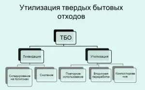 Питання вартості по утилізації побутових відходів та їх організація (відходів) Питання вартості по утилізації побутових відходів та їх організація