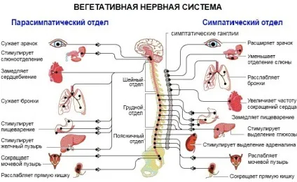 ВСД за змішаним типом причини, симптоми і лікування