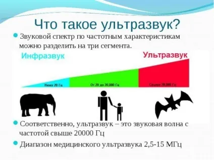 Чи шкідливо узі при вагітності для плода на ранньому терміні (шкідливо) Чи шкідливо узі при вагітності для плода на ранньому терміні