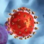 Вірусний імунодефіцит котів (ВІК, FIV) вірусний