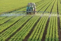 Структура ВВП США особливості розвитку