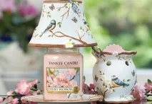 Свічки Yankee Candle candle