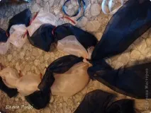 ВЕСІЛЬНЕ ПРИКРАСЕННЯ НА МАШИНУ МК, Країна Майстрів весільне
