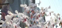 Весілля у Малинівці, Фестивалі у Харкові - Дозор Афіша фестивалі