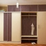 Вбудована шафа купе в передпокій фото, ідеї, різновиди, особливості (вбудований) Вбудована шафа купе в передпокій фото, ідеї, різновиди, особливості