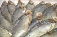 В'ялення і сушка риби в домашніх умовах (риби) В'ялення і сушка риби в домашніх умовах