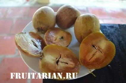 Все-все-все про саподіллу (Чику)