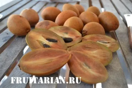 Все-все-все про саподіллу (Чику)