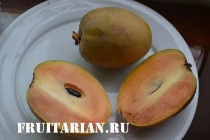 Все-все-все про саподіллу (Чику)