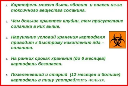 Яд соланін або чи можна їсти зелений картопля (соланін) Яд соланін або чи можна їсти зелений картопля