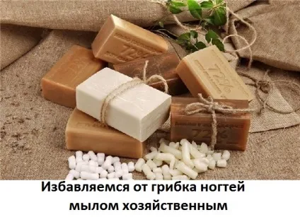 Господарське мило від грибка, сайт про методи лікування докторів Неумивакіна, Болотова, огулова (лікування болиголов) Господарське мило від грибка, сайт про методи лікування докторів Неумивакіна, Болотова, огулова
