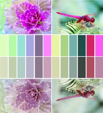 Яскравість кольору, lookcolor