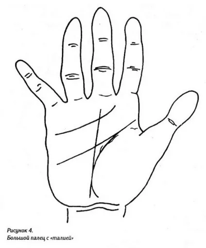 Хіромантія в картинках