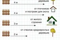 Забір між дачними ділянками нормативи забудови (паркан дачну ділянку садовими сусідніми присадибної огорож) Забір між дачними ділянками нормативи забудови