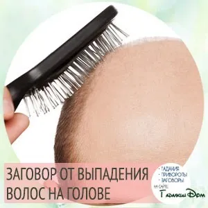 Змови від випадіння волосся, щоб вони були густими і пишними (були) Змови від випадіння волосся, щоб вони були густими і пишними