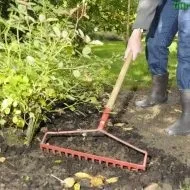 Засихає орхідея що робити