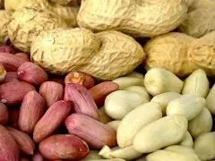 Смажений арахіс, користь і шкода продукту, арахісова дієта (здоров'я) Смажений арахіс, користь і шкода продукту, арахісова дієта