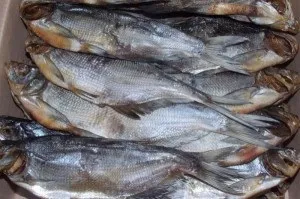 Засолка і в'ялення річкової риби (в'ялення) Засолка і в'ялення річкової риби