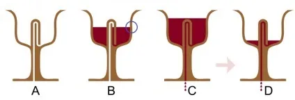 Цікава фізика