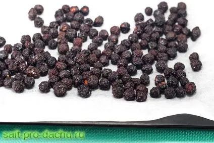 Засушувати вишню і черешню в духовці (духовці) Засушувати вишню і черешню в духовці
