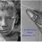 Життя з кішками - поради і рекомендації (рекомендації) Життя з кішками - поради і рекомендації