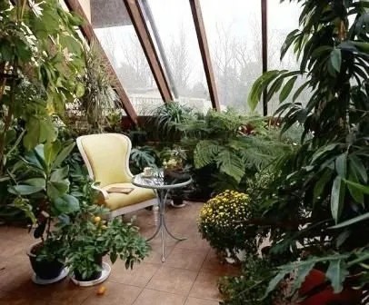 Зимовий сад в квартирі, домогосподарка (релакс) Зимовий сад в квартирі, домогосподарка