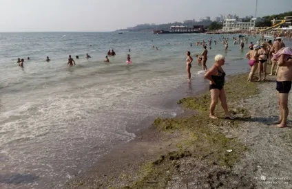 Перлина біля моря - скільки тобі платять (тому було дуже) Перлина біля моря - скільки тобі платять