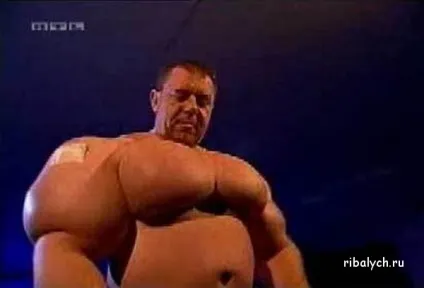 жертви синтола
