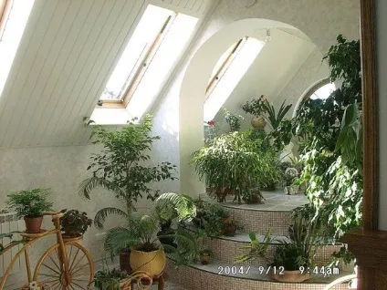Зимовий сад в квартирі, домогосподарка (ц.? Перус) Зимовий сад в квартирі, домогосподарка