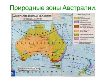 Життя українців у австралії - відгуки, поради, плюси і мінуси (останніх балів останніх) Життя українців у австралії - відгуки, поради, плюси і мінуси