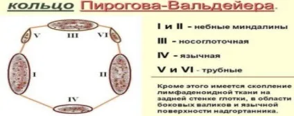 Аденоїди як виглядають в носі