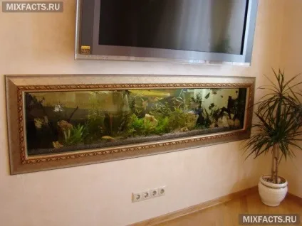 Акваріум в стіні між кімнатами (фото) (акваріум в інтер'єрі вітальні) Акваріум в стіні між кімнатами (фото)