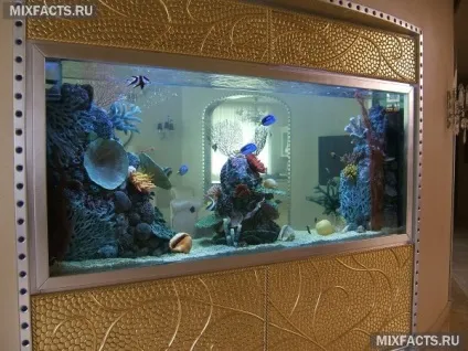 Акваріум в стіні між кімнатами (фото) (кімнатами) Акваріум в стіні між кімнатами (фото)