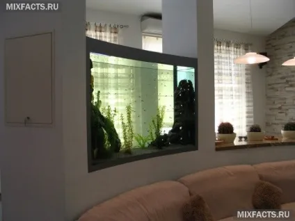 Акваріум в стіні між кімнатами (фото) (кімнатами) Акваріум в стіні між кімнатами (фото)