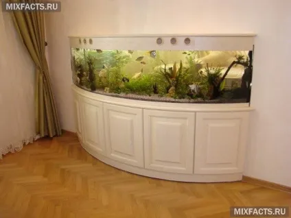Акваріум в стіні між кімнатами (фото) (акваріум) Акваріум в стіні між кімнатами (фото)