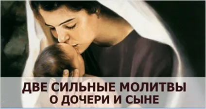 Безробітний іммігрант відмовився від 5-кімнатного будинку, тому що в ньому не було (було) Безробітний іммігрант відмовився від 5-кімнатного будинку, тому що в ньому не було