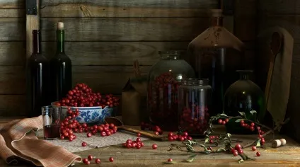 Бізнес-ідея виготовлення домашнього вина (серпень 2017) (вина) Бізнес-ідея виготовлення домашнього вина (серпень 2017)