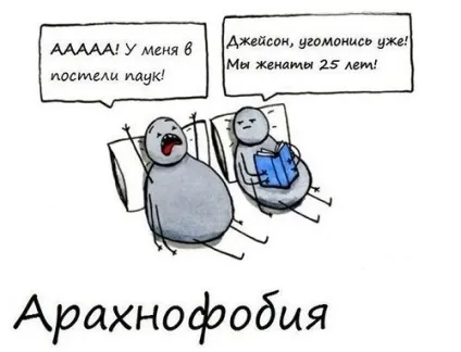 Арахнофобія це боязнь павуків від якої можна позбутися (арахнофобія) Арахнофобія це боязнь павуків від якої можна позбутися