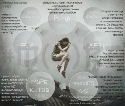 Метелики і кити як підлітки потрапляють в групи смерті, новини Нижнього Новгорода (групи) Метелики і кити як підлітки потрапляють в групи смерті, новини Нижнього Новгорода