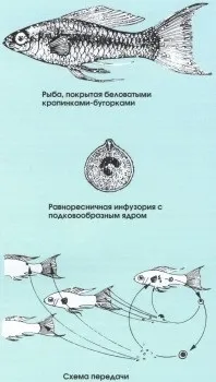 хвороби риб