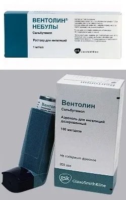 Бронхіальна астма у дітей симптоми, причини і методи лікування (бронхіальна) Бронхіальна астма у дітей симптоми, причини і методи лікування