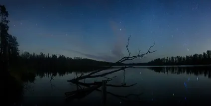 Велика вселеннаяможно чи побачити на небі зірки інших галактик (зірки) Велика вселеннаяможно чи побачити на небі зірки інших галактик