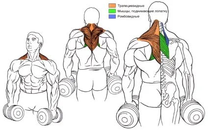 Чим замінити станову тягу - my sport life (life) Чим замінити станову тягу - my sport life