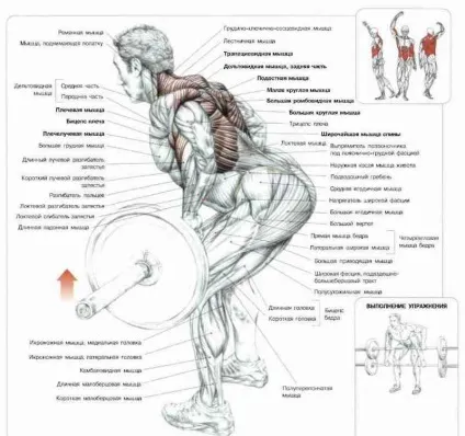 Чим замінити станову тягу - my sport life (sport) Чим замінити станову тягу - my sport life