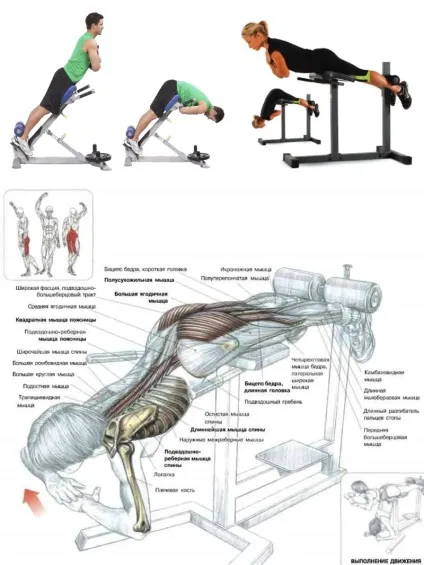 Чим замінити станову тягу - my sport life (sport) Чим замінити станову тягу - my sport life