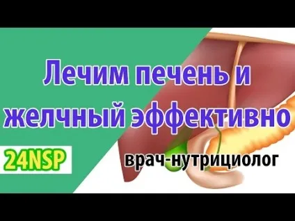 Що любить печінку і жовчний міхур і що не люблять які продукти (продукти) Що любить печінку і жовчний міхур і що не люблять які продукти
