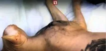 Тату-майстер набив своєму лисому коту тюремні татуювання, чим викликав обурення захисників тварин набив