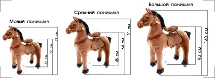 Що таке Поніцикли